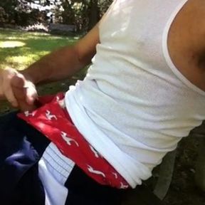 Stroking my cock outside on the bench..interrupted jerk-off