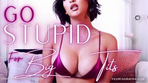 Go Stupid For Big Tits