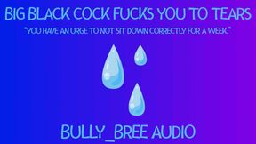 Big Black Cock Fucks You To Tears Audio