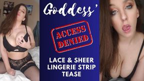 Goddess Lace and Sheer Strip Tease (480WMV)