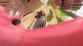 VR360 "Restless Playtime" with Lauren Ashlyn