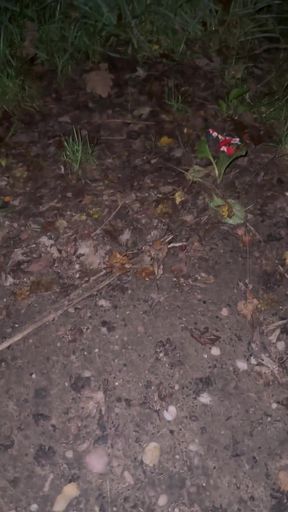 Thrilling moment from "Caught jerking naked outside of car"