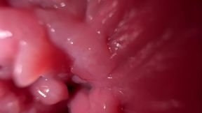 Close up pussy spreading and dirty talk