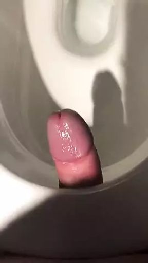 In A Public Toilet Using The Toilet To Fuck &amp; Shooting My Load Into The Toilet!