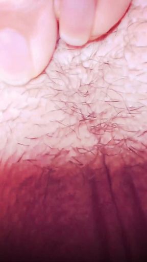 Macro Perspective: Extreme Close-up with Micro Camera