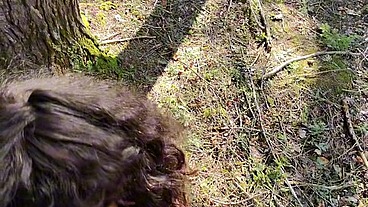 Cruising For Girlcock in the Woods POV