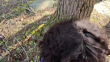 Cruising For Girlcock in the Woods POV