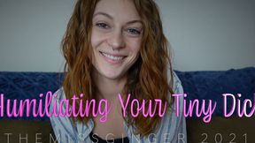 Humiliating Your Little Dick