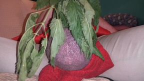 Nettles drive me nuts and make my cock hard!
