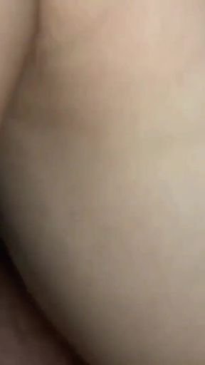 Asian Angel 27208