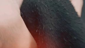 Arab Exclusive Fantasy - Passion &amp; Control