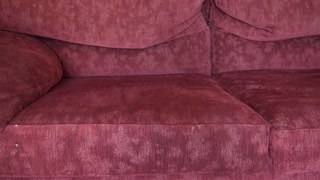 Belle mere français parle mots cru pendant qu’elle sucer son beau-fils