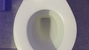 I PEE GOLD IN MY TOILET I WISH FOR LOTS OF MONEY