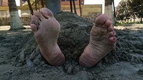 Buried in the sand of the beach, only its wrinkled and dirt-covered soles can be seen (4)