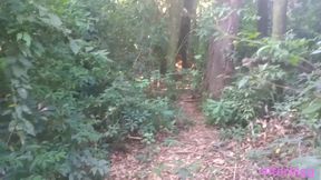 encontrei uma surpresa na trilha .