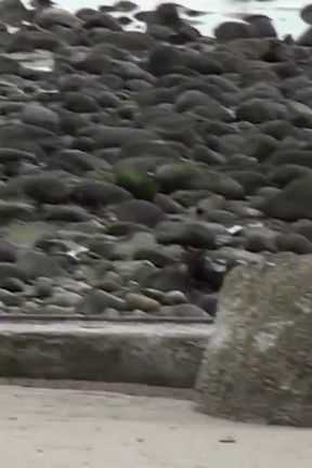 Pervs on Patrol - Jeanie Marie Sulivan Naked on the Beach Why Not Fuck