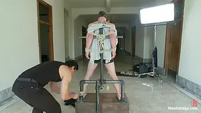 Hot Straight Stud - Drake Wild