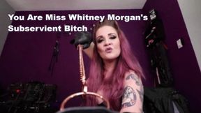 You Are Miss Whitney Morgan's Subservient Bitch - wmv