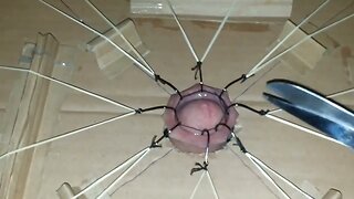 Cbt extreme cock torture with fishhooks  part 1