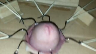 Cbt extreme cock torture with fishhooks  part 1