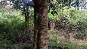 nossa gostei muito de sentar no pau do novinho fiquei toda molhada gozei horrores. no meio do mato