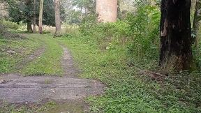 nossa gostei muito de sentar no pau do novinho fiquei toda molhada gozei horrores. no meio do mato