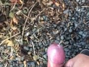 My little phimosis penis erects