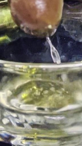 Golden Goddess Nectar 4