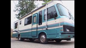 The Desire for Cock at This Moment