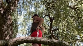 If You Go Down to the Wood Today You Might Be in for a Surprise