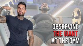 Observing the Giant at the Gym — Lalo Cortez
