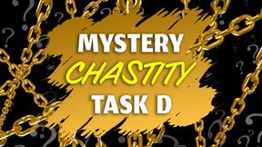 2025 Mystery Chastity Task D