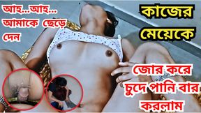 maid fucking hard by owner at home Clear Audio