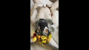 Furry Fursuit Cum on Face. Cum on Own Fursuit Head. Therian