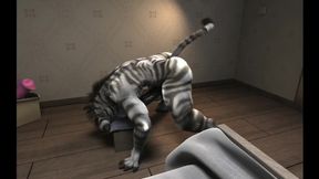 'Zebra solo masturbation session gets intense in high-def'