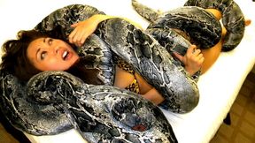 Monster Huntress Society 1: Training Day (starring Sumiko) (MP4)