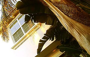 Sexy redhead lesbian michelle avanti seduces her maid