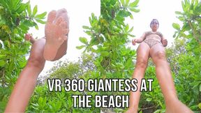 VR 360 unaware giantess at the beach - Lalo Cortez and Vanessa