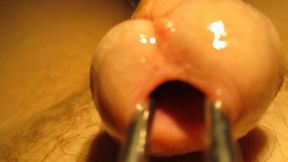 Sounding & Stretching Urethra Before Cumming Hard