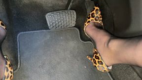 Revving the Buick in Leopard Print Pumps & Nylons