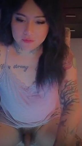 Stream Live 17 February 2026 Kim