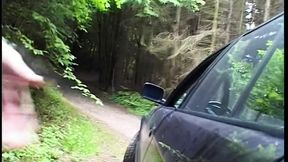 Blondine am Strassenrand aufgerissen und durch gefickt