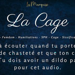 JOI for a caged guy who has to dildo his ass   French Audio Porn