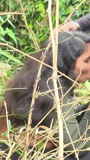 Indian Girl Jungle Me Mangal Juberjust Jungle Chudai Indian Girl Bur Chudai Video