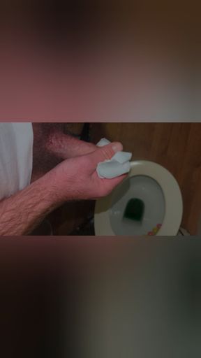 Shot at the toilet bowl