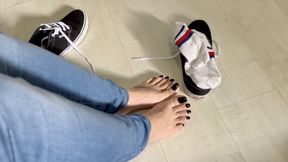 All day wearing my VANS sneakers (MP4-HD 1080p)