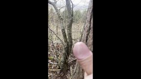 Banging in the forest