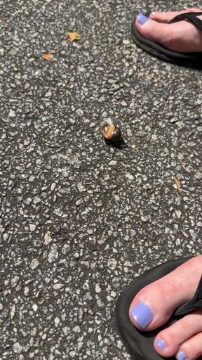 Nice and fast