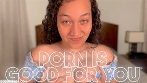Porn Is Good For You