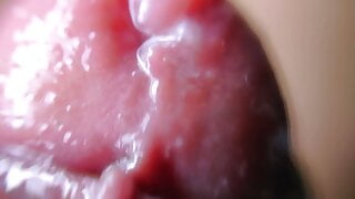 extreme macro close up of intense cumshots orgasm